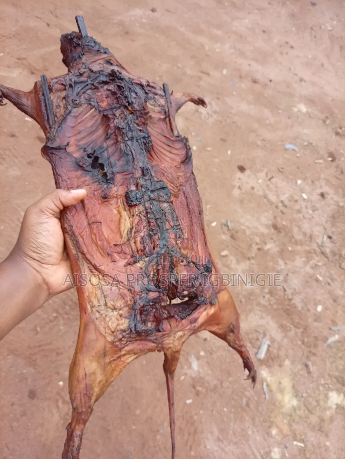 Bush Meats