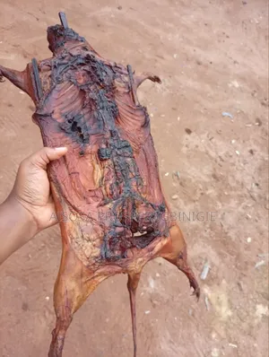 Bush Meats