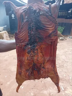 Bush Meats