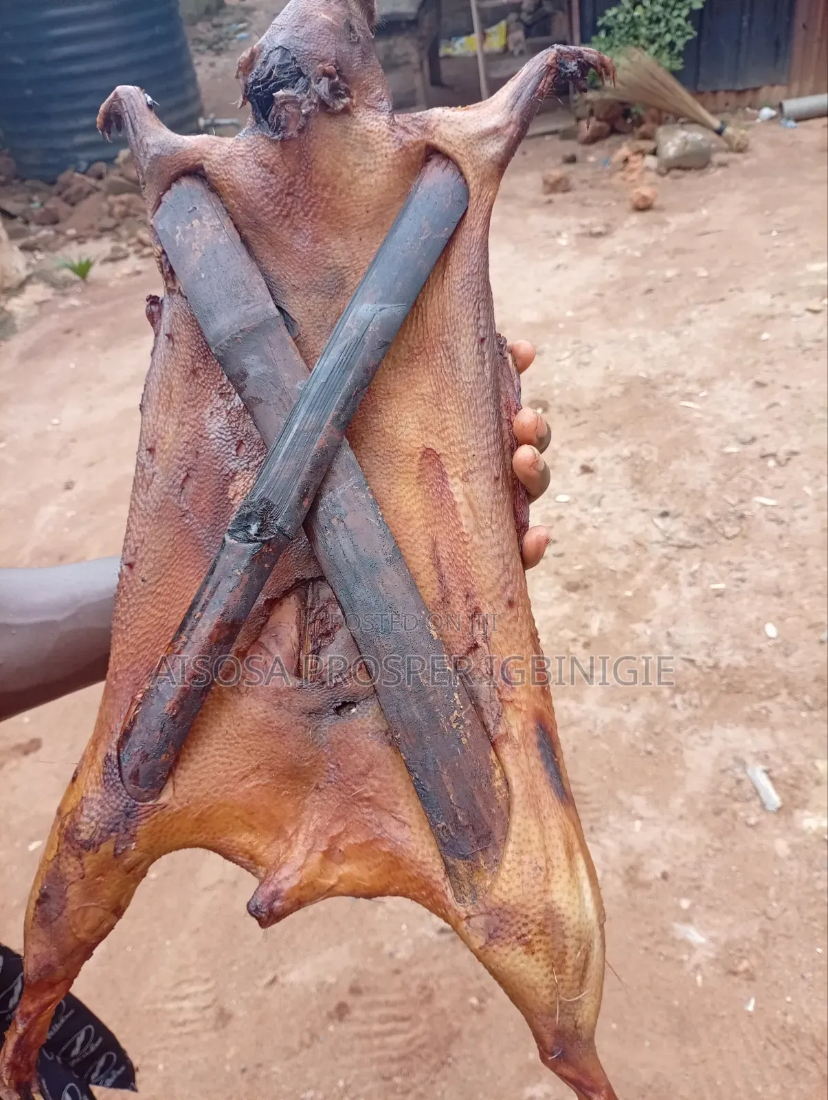 Bush Meats