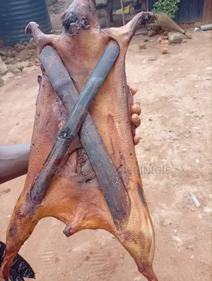 Bush Meats