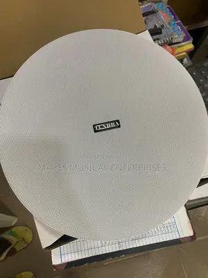 Ceiling Speaker Tundra 80-Watt