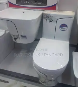 White Ceramic Toilet and a Matching Wall-Mounted Basin