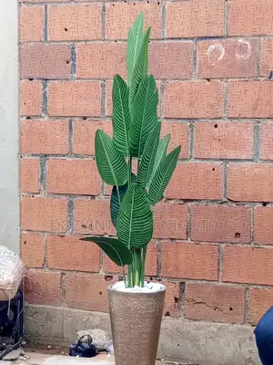 Banana Flower
