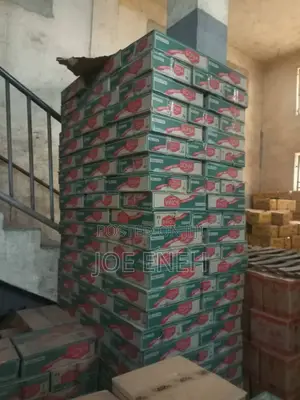 One Carton of Sonia Long Tomatoes