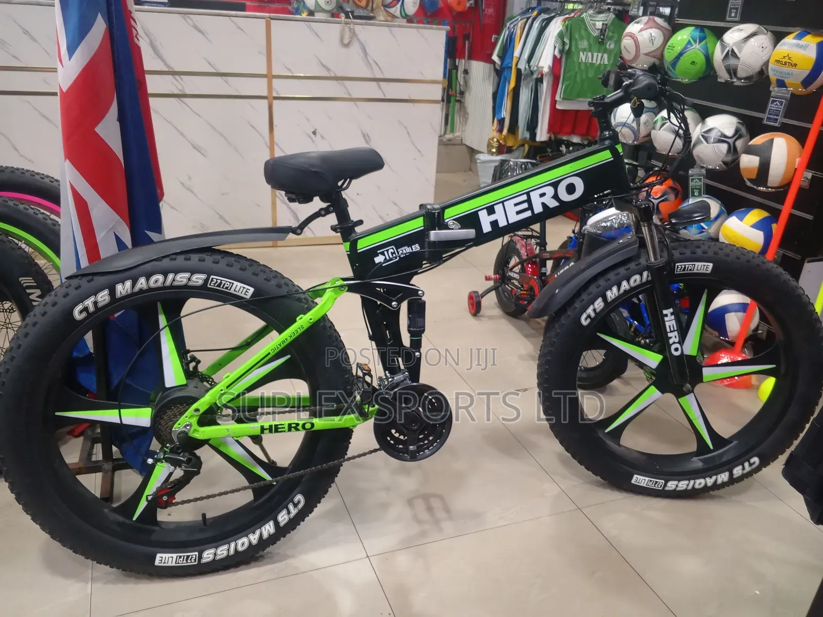 Electric Bicycle Foldable Bike. (Hero)
