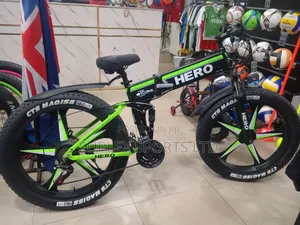 Electric Bicycle Foldable Bike. (Hero)