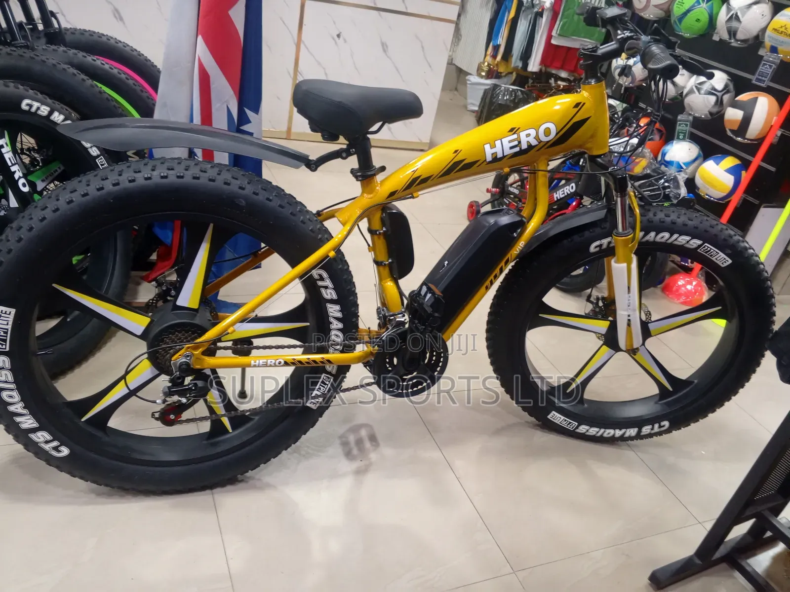 Electric Bicycle Fat Tyre (Hero)