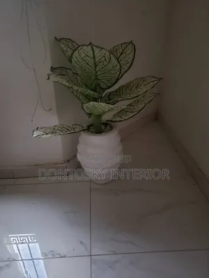 Flower Vase and Grass