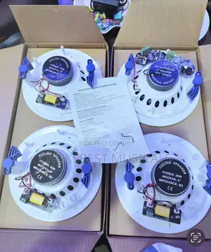 Photo - 30 Watts 4 in 1 Bluetooth Dart Celling Speaker