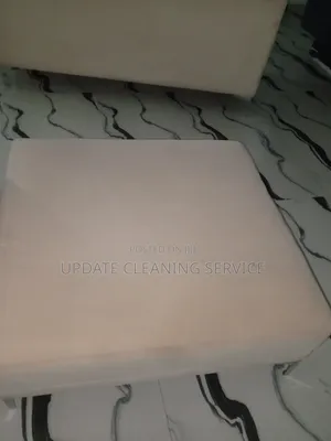 Book Your Professional Upholstery Services Today