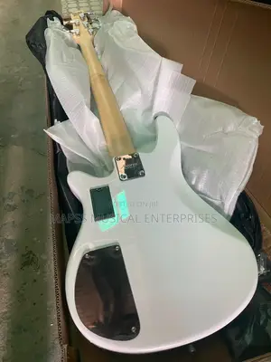 Five Strings Alvarez Active Bass Guitar