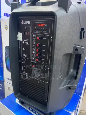 Ailipu 12-Inch Rechargeable Public Address (Pa) System Speak