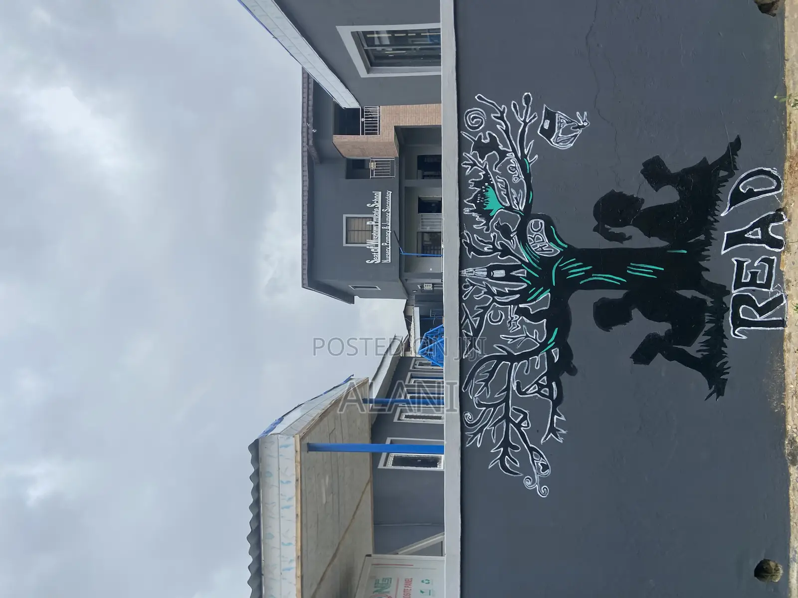 Wall Murals
