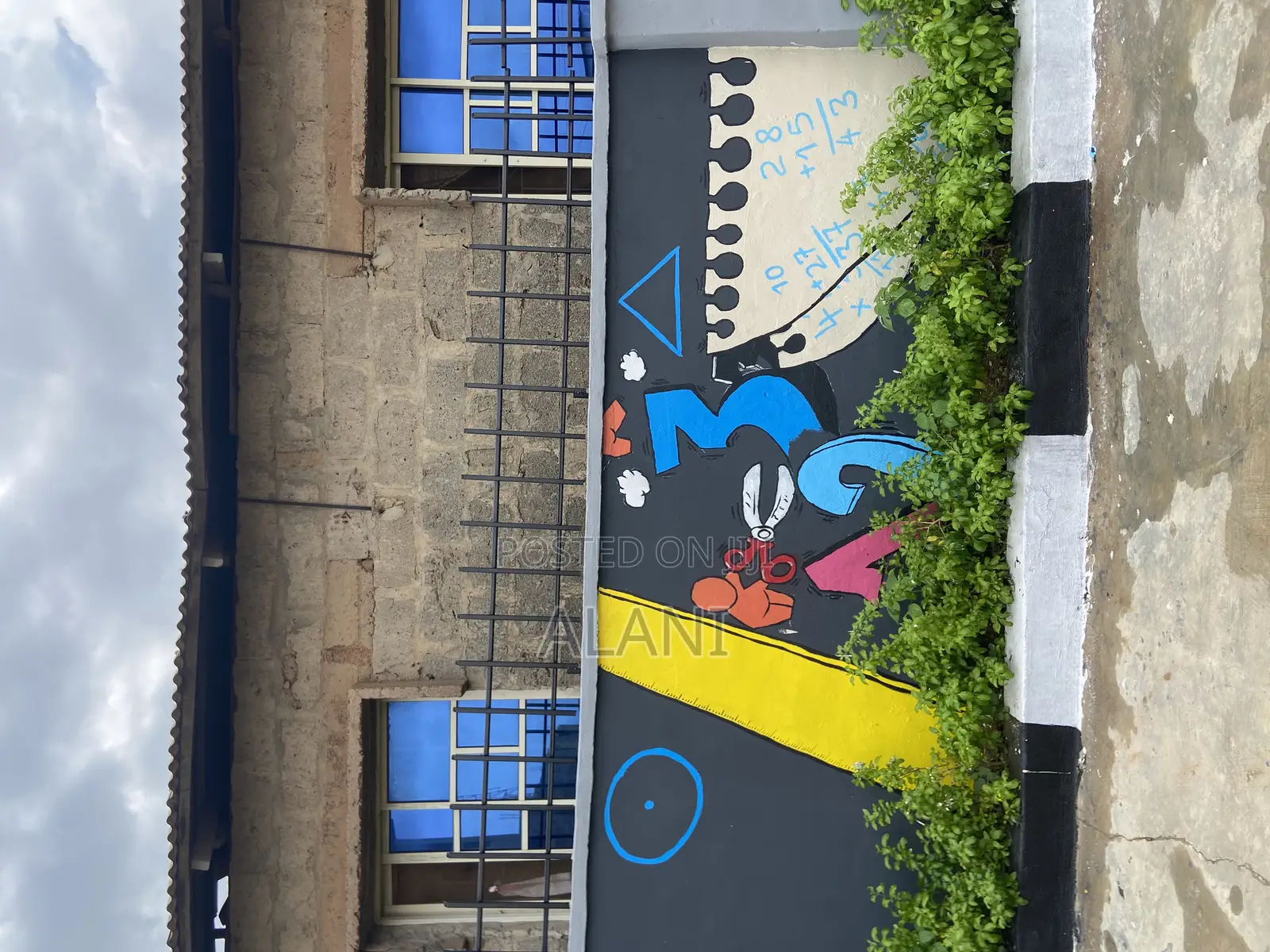 Wall Murals