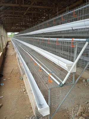 Proudly Nigeria Chicken Cage