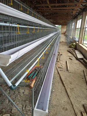 Proudly Nigeria Chicken Cage