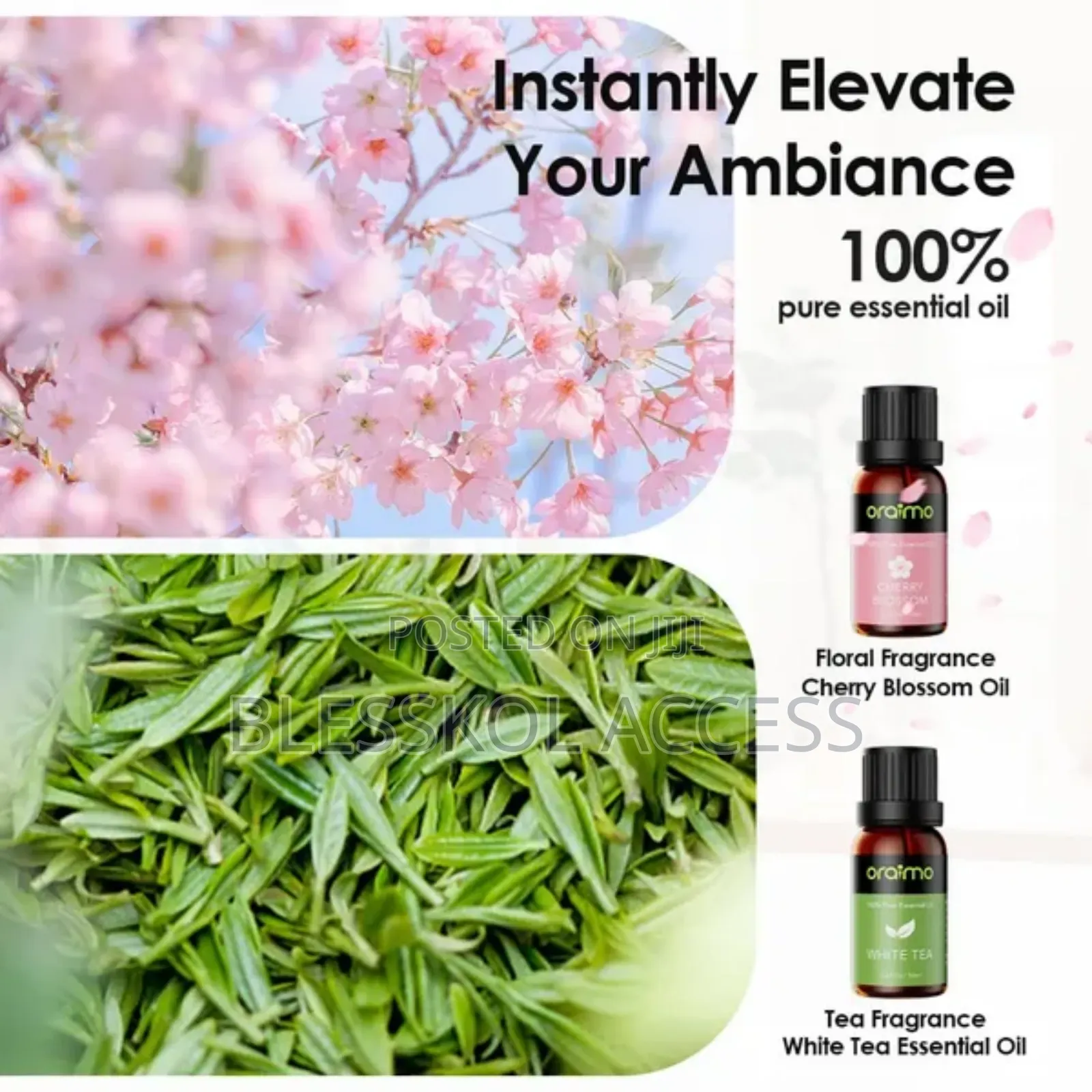 Oraimo Aromaglow Waterless Wallmounted Aromatherapy Diffuser