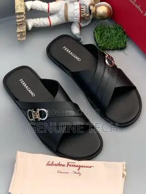 Ferragamo Slippers