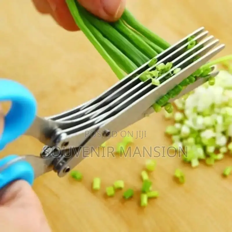 Kitchen Scissors