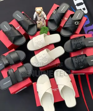 Most Wanted Ferragamo Slippers