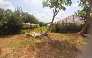 Photo - Acres of Agriculture/Farmlands for Sale in Igbodu, Epe Lagos