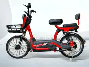 Electric Bike