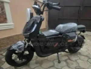 Electric Bike