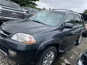 Acura MDX Touring Package 2004 Gray