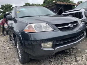 Acura MDX Touring Package 2004 Gray