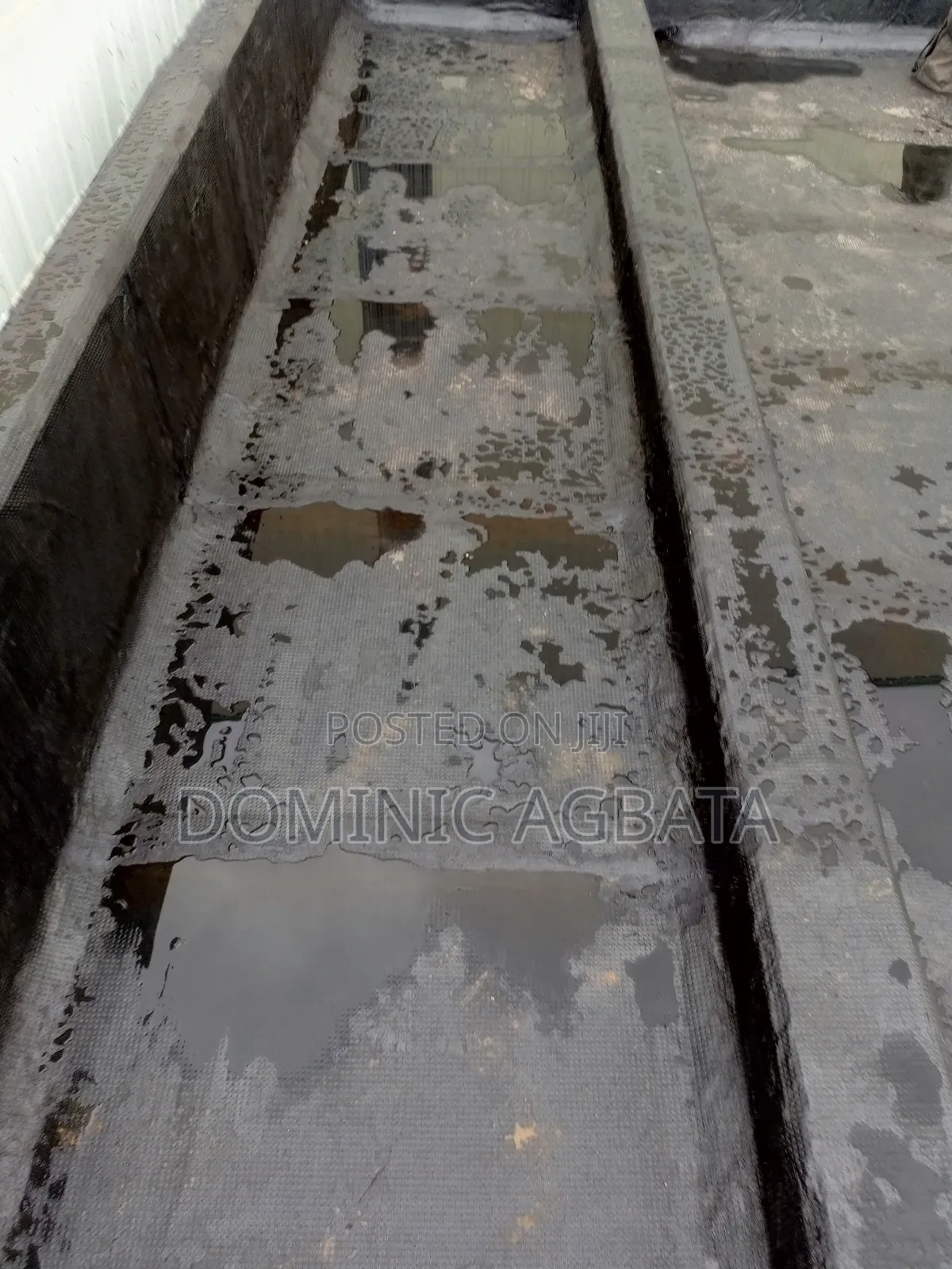 Dwell on Waterproofing Expert