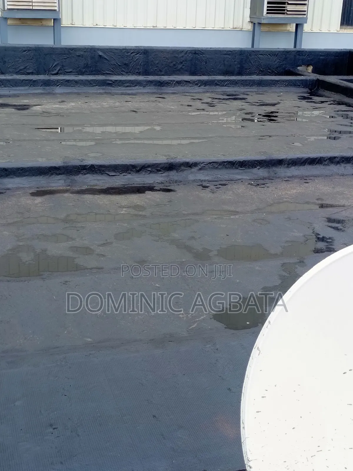 Chew Over Waterproofing Expert