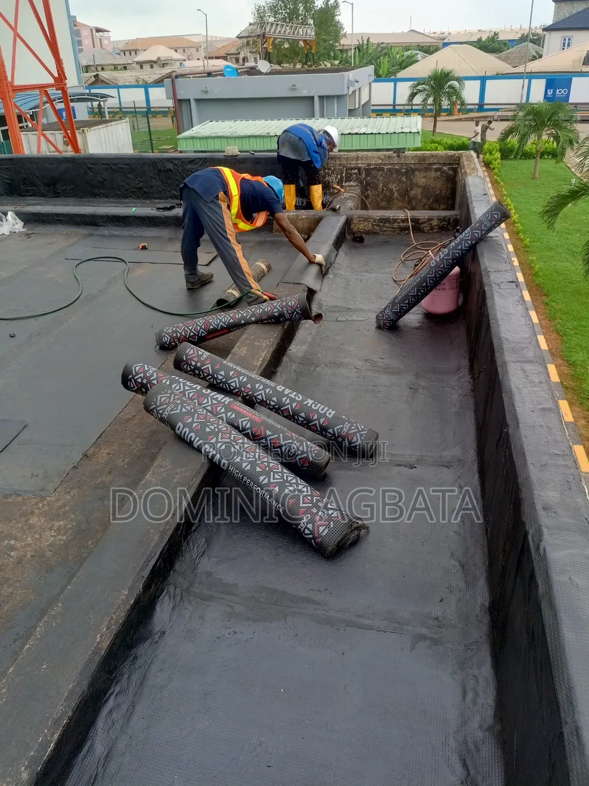 Chew Over Waterproofing Expert