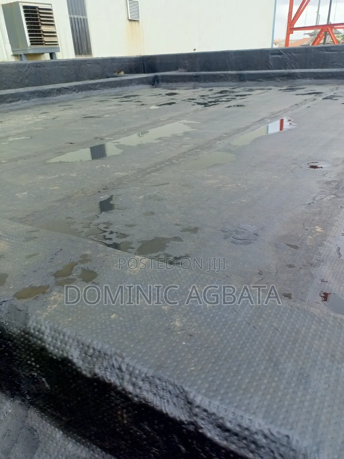 Chew Over Waterproofing Expert