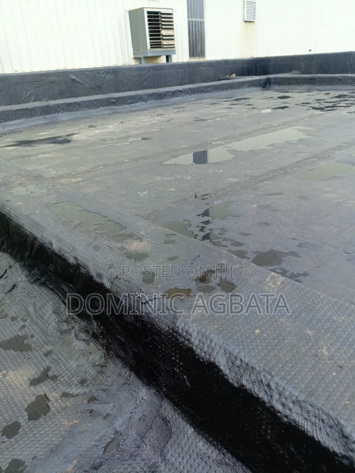 Chew Over Waterproofing Expert