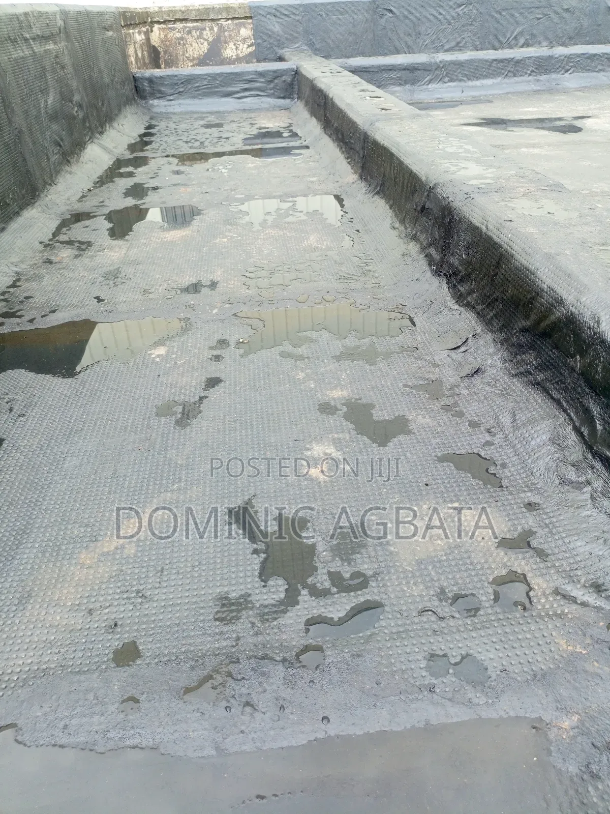 Chew Over Waterproofing Expert