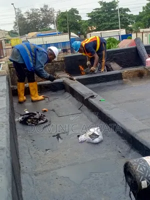 Chew Over Waterproofing Expert