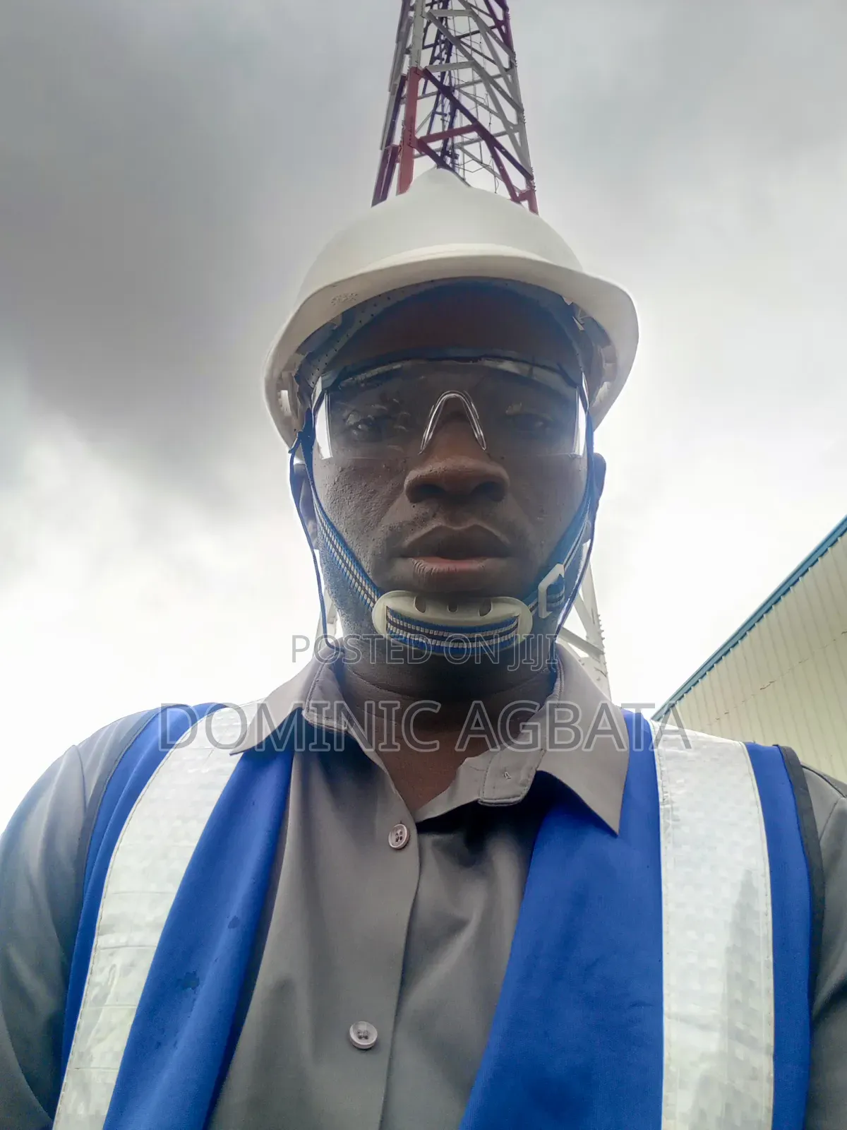 Chew Over Waterproofing Expert