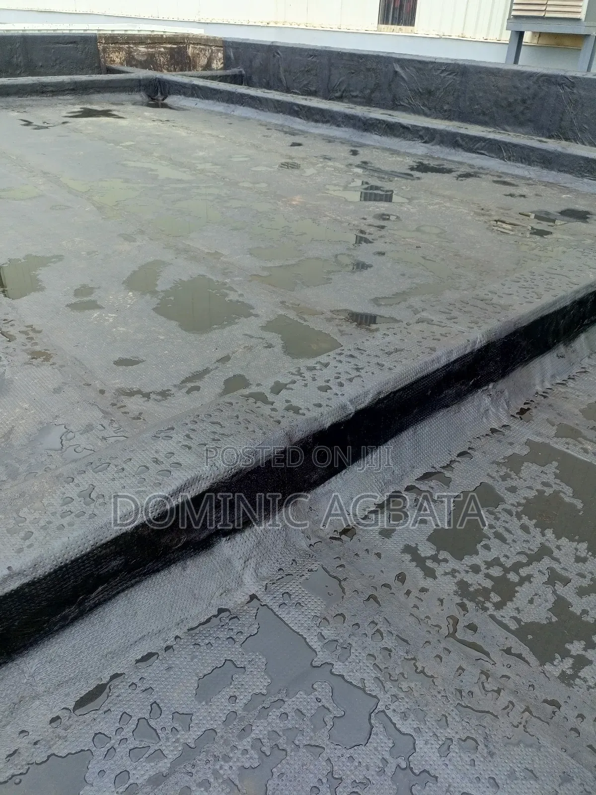 Chew Over Waterproofing Expert