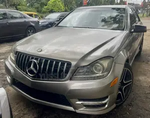 Photo - Mercedes-Benz C300 2008 Gray