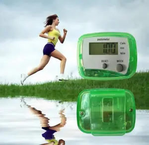 Electronic Walking Tracker