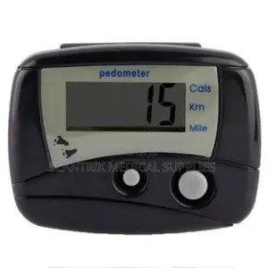 Digital Stride Tracker