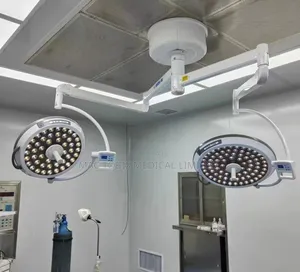 Double-Arm Theatre Light