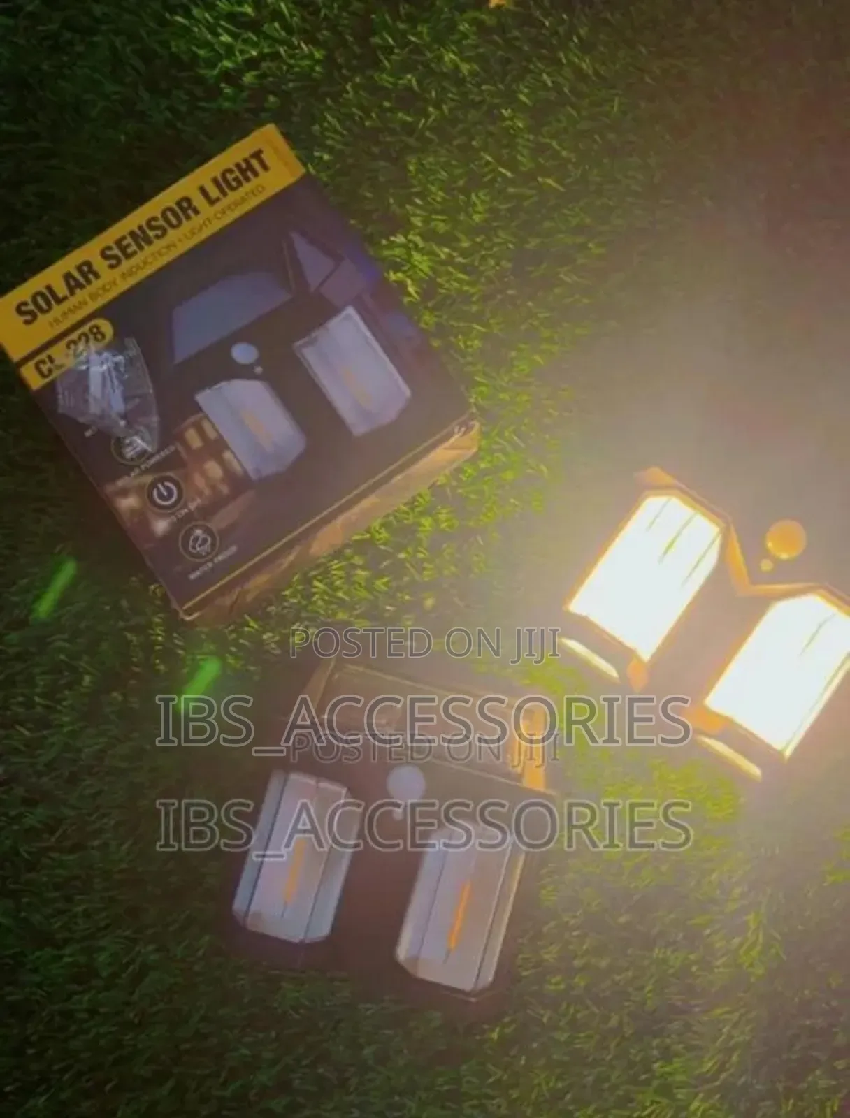Double Wall Sensor Light