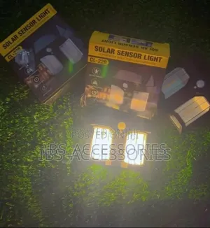 Double Wall Sensor Light