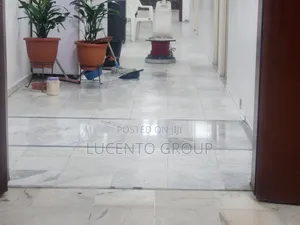 Marble Repair and Polishing