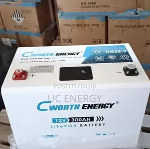 300ah C Worth Energy 12v