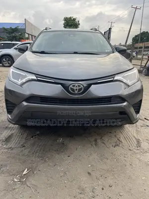Toyota RAV4 LE AWD (2.5L 4cyl 6A) 2017 Gray