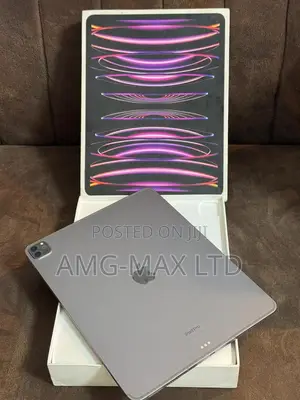 Apple iPad Pro 12.9 (2022) 256 GB Gray