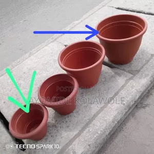 Plastic Pot and Different Flowers